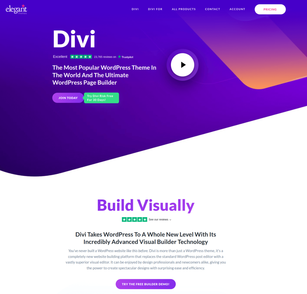 Wordpress-Theme Divi